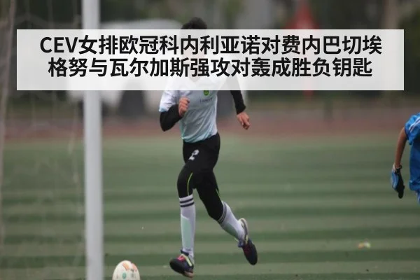 CEV女排欧冠科内利亚诺对费内巴切埃格努与瓦尔加斯强攻对轰成胜负钥匙