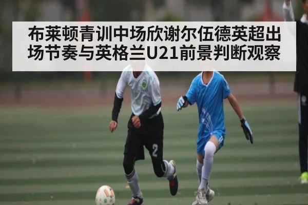 布莱顿青训中场欣谢尔伍德英超出场节奏与英格兰U21前景判断观察